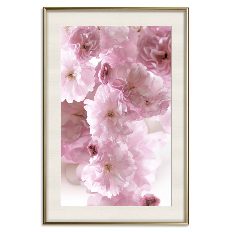 Poster Floral Mist - landscape with many pink flowers on a white background 122857 additionalImage 19