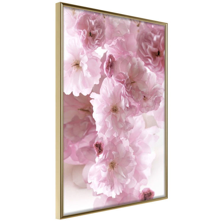 Poster Floral Mist - landscape with many pink flowers on a white background 122857 additionalImage 12