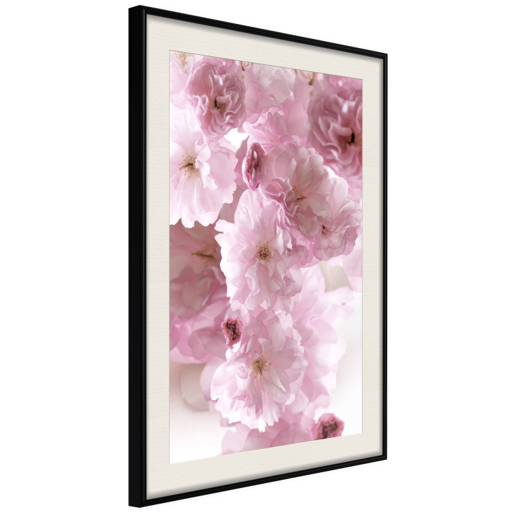 Poster Floral Mist - landscape with many pink flowers on a white background 122857 additionalImage 3