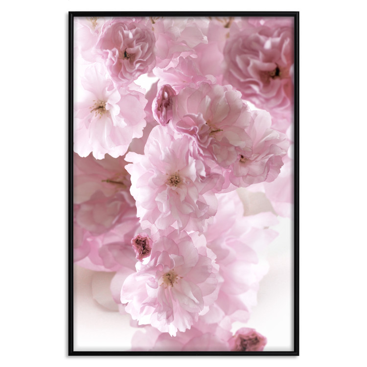 Poster Floral Mist - landscape with many pink flowers on a white background 122857 additionalImage 24