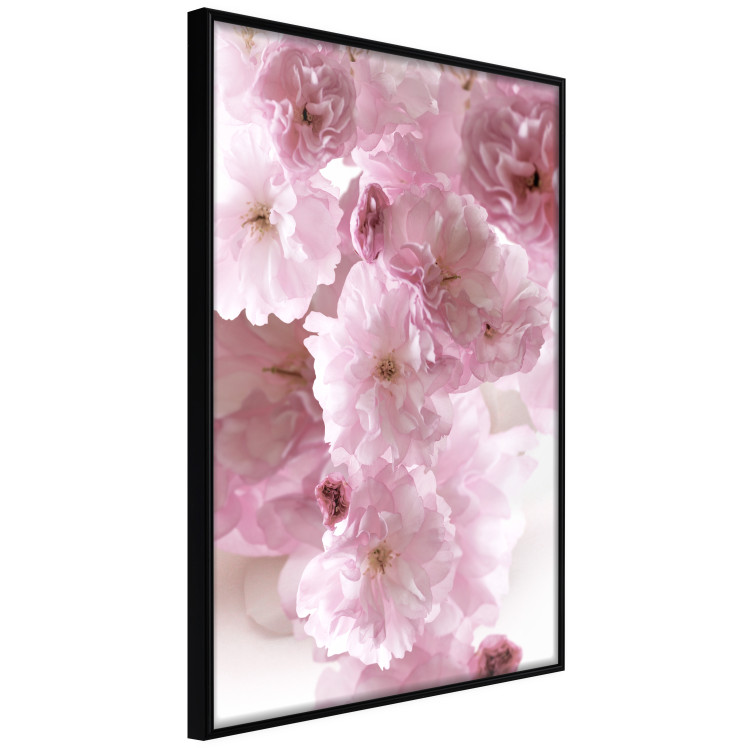 Poster Floral Mist - landscape with many pink flowers on a white background 122857 additionalImage 10