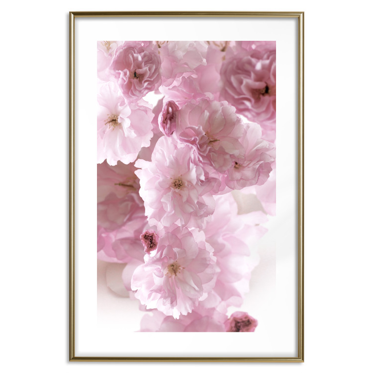 Poster Floral Mist - landscape with many pink flowers on a white background 122857 additionalImage 16