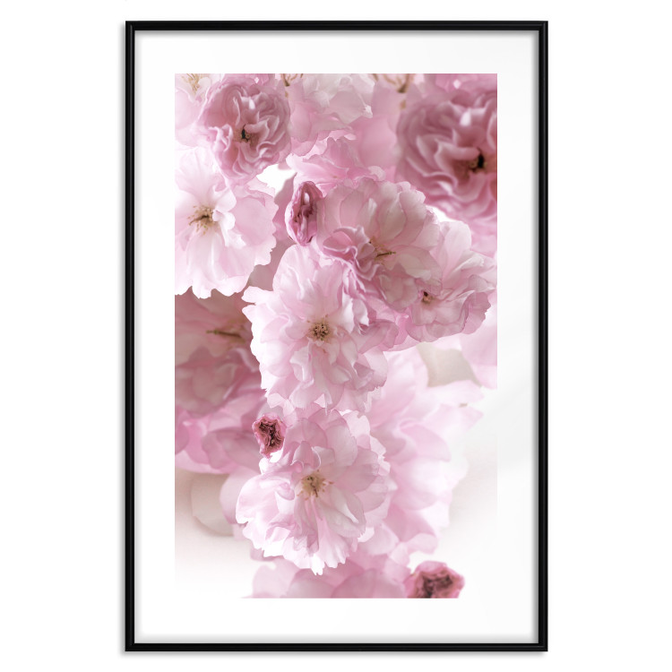 Poster Floral Mist - landscape with many pink flowers on a white background 122857 additionalImage 17