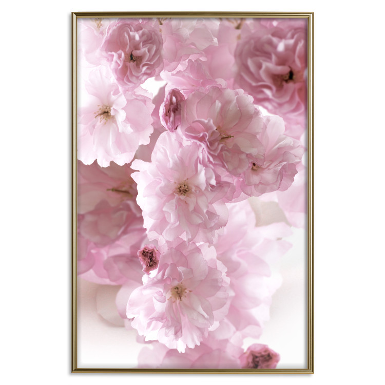 Poster Floral Mist - landscape with many pink flowers on a white background 122857 additionalImage 20