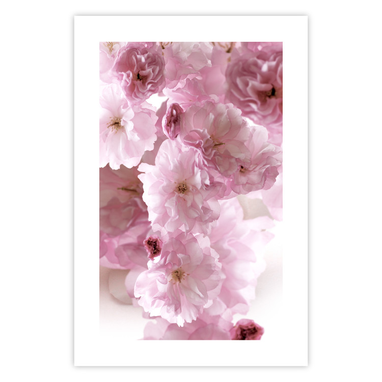 Poster Floral Mist - landscape with many pink flowers on a white background 122857 additionalImage 25