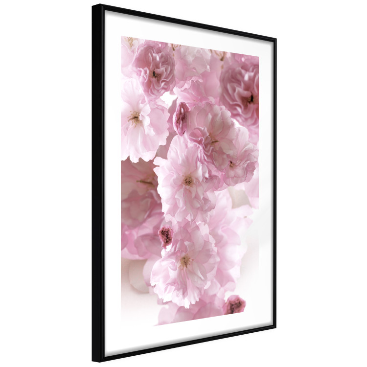Poster Floral Mist - landscape with many pink flowers on a white background 122857 additionalImage 11