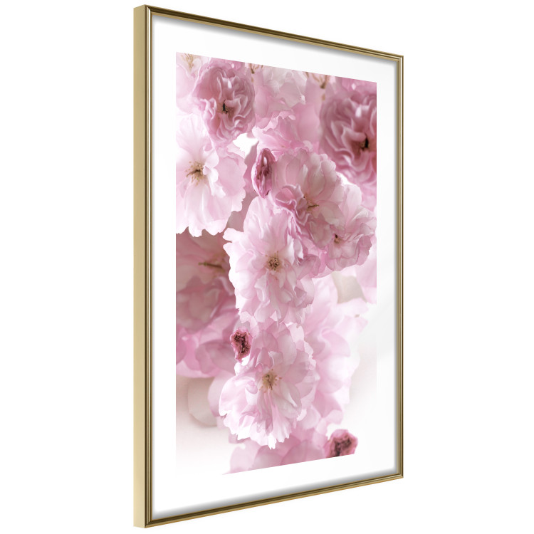 Poster Floral Mist - landscape with many pink flowers on a white background 122857 additionalImage 8
