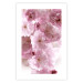 Poster Floral Mist - landscape with many pink flowers on a white background 122857 additionalThumb 19