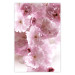Poster Floral Mist - landscape with many pink flowers on a white background 122857