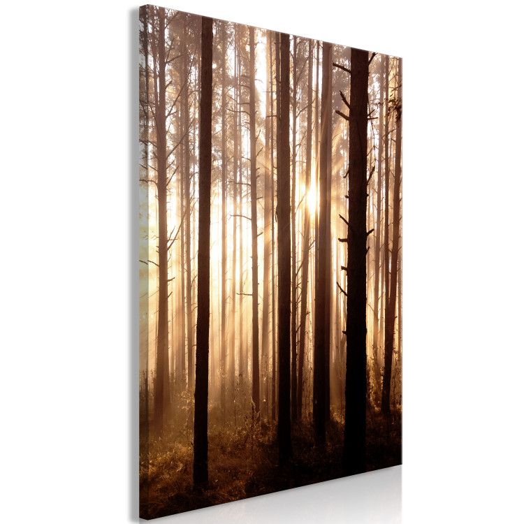 Canvas Print Forest Paths (1 Part) Vertical 123757 additionalImage 2