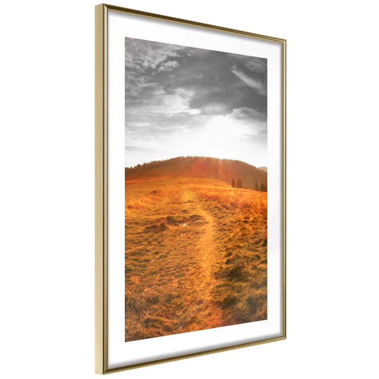 Poster Idyll - nature landscape against meadow backdrop in sunlight 123857 additionalImage 6