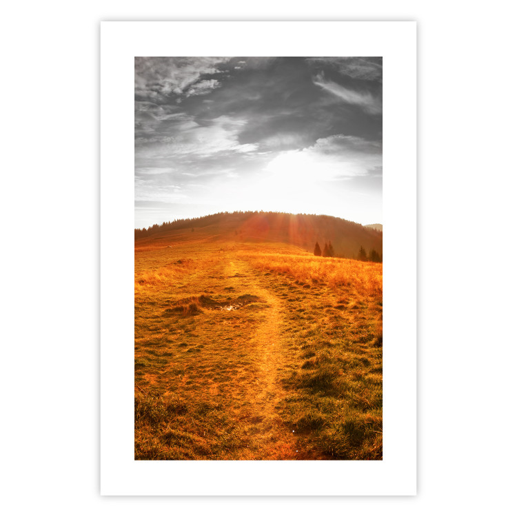 Poster Idyll - nature landscape against meadow backdrop in sunlight 123857 additionalImage 25