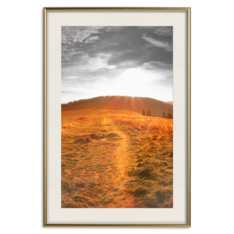 Poster Idyll - nature landscape against meadow backdrop in sunlight 123857 additionalImage 19