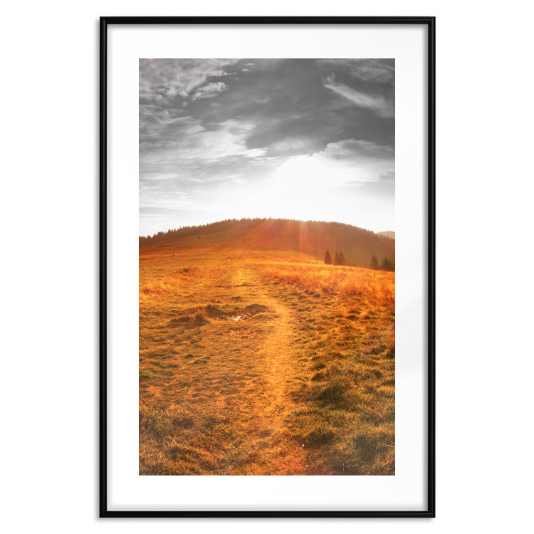 Poster Idyll - nature landscape against meadow backdrop in sunlight 123857 additionalImage 17