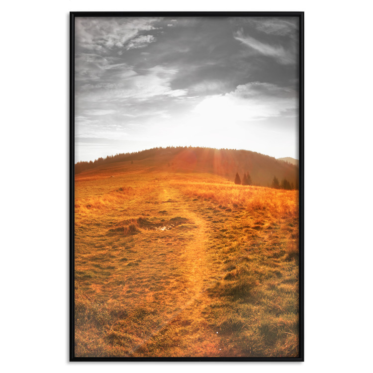 Poster Idyll - nature landscape against meadow backdrop in sunlight 123857 additionalImage 18