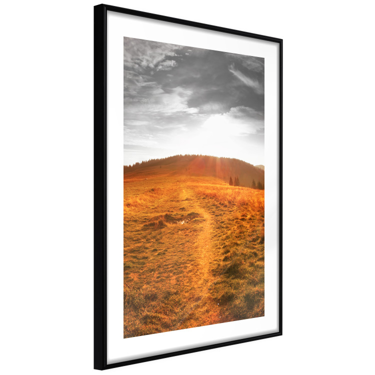 Poster Idyll - nature landscape against meadow backdrop in sunlight 123857 additionalImage 11