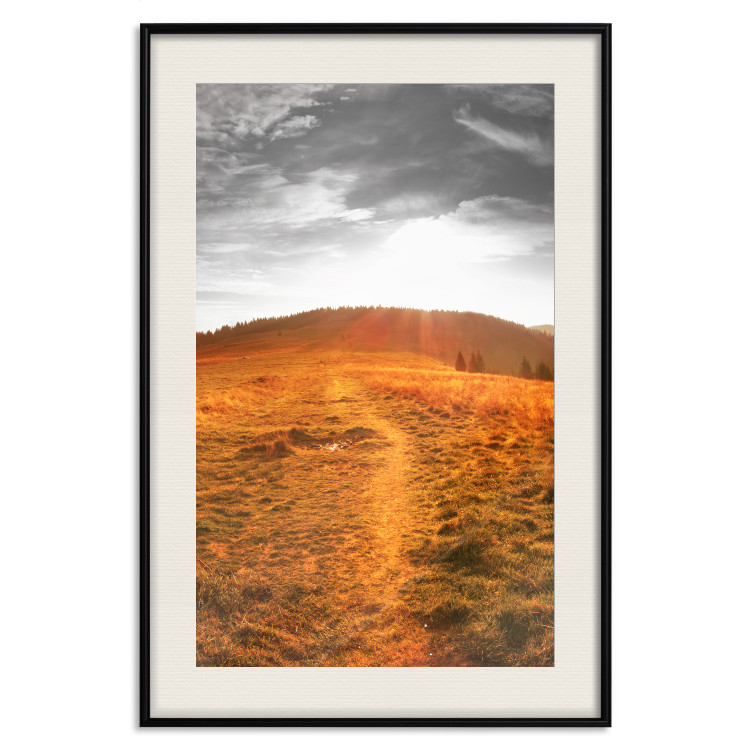 Poster Idyll - nature landscape against meadow backdrop in sunlight 123857 additionalImage 18