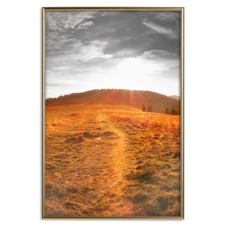 Poster Idyll - nature landscape against meadow backdrop in sunlight 123857 additionalImage 20