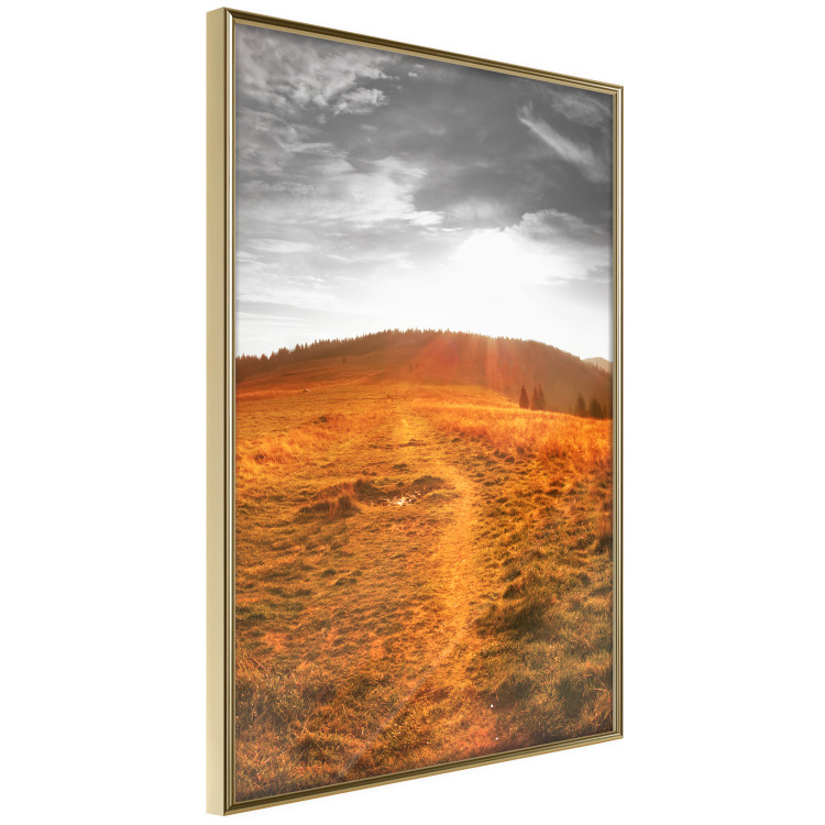 Poster Idyll - nature landscape against meadow backdrop in sunlight 123857 additionalImage 12