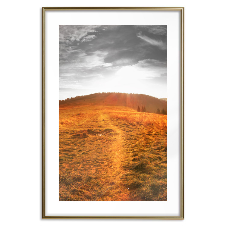 Poster Idyll - nature landscape against meadow backdrop in sunlight 123857 additionalImage 16