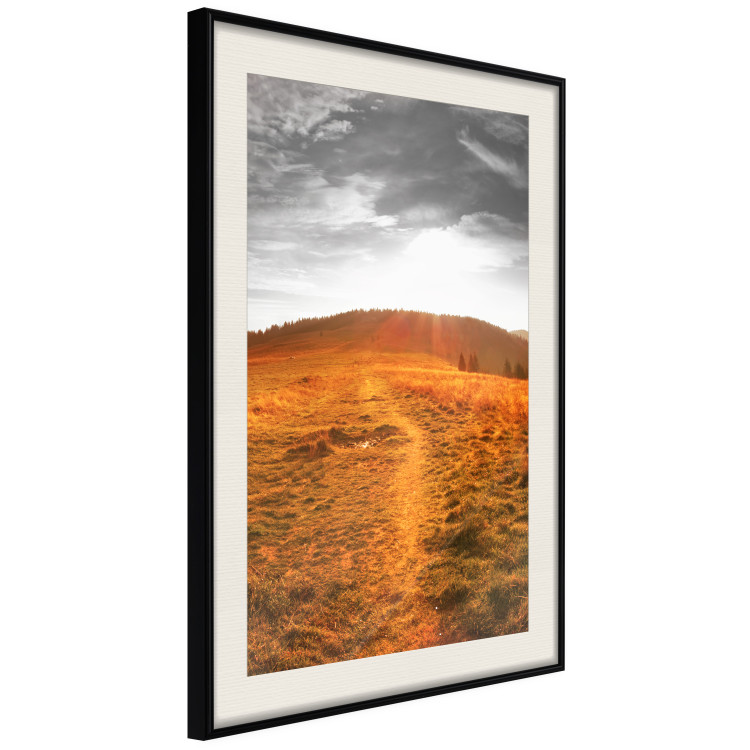 Poster Idyll - nature landscape against meadow backdrop in sunlight 123857 additionalImage 3