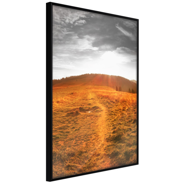 Poster Idyll - nature landscape against meadow backdrop in sunlight 123857 additionalImage 10