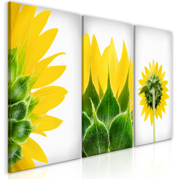 Canvas Print Sunny Shapes (3 Parts) 124357 additionalImage 2