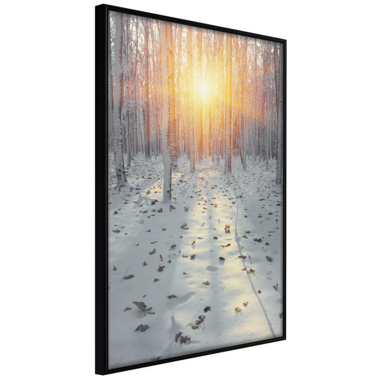 Wall Poster Winter Afternoon - forest in winter atmosphere against setting sun 124457 additionalImage 10