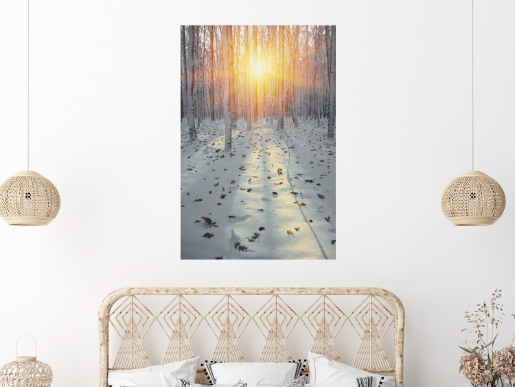 Wall Poster Winter Afternoon - forest in winter atmosphere against setting sun 124457 additionalImage 14
