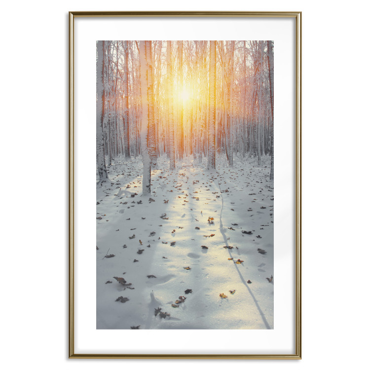 Wall Poster Winter Afternoon - forest in winter atmosphere against setting sun 124457 additionalImage 15