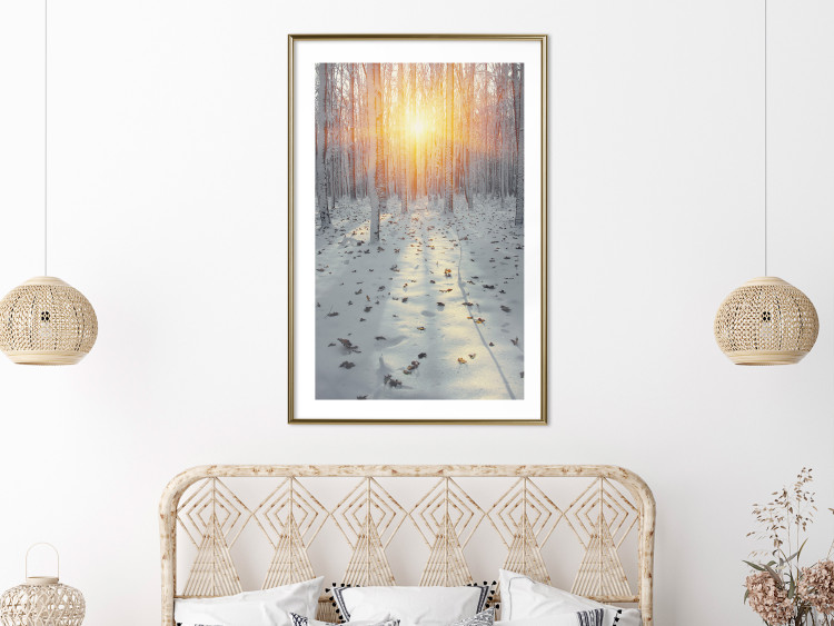 Wall Poster Winter Afternoon - forest in winter atmosphere against setting sun 124457 additionalImage 13
