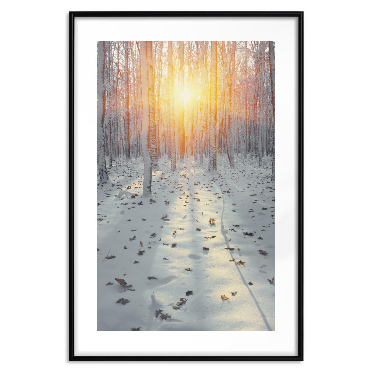Wall Poster Winter Afternoon - forest in winter atmosphere against setting sun 124457 additionalImage 20