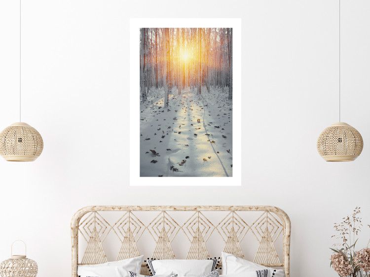 Wall Poster Winter Afternoon - forest in winter atmosphere against setting sun 124457 additionalImage 2