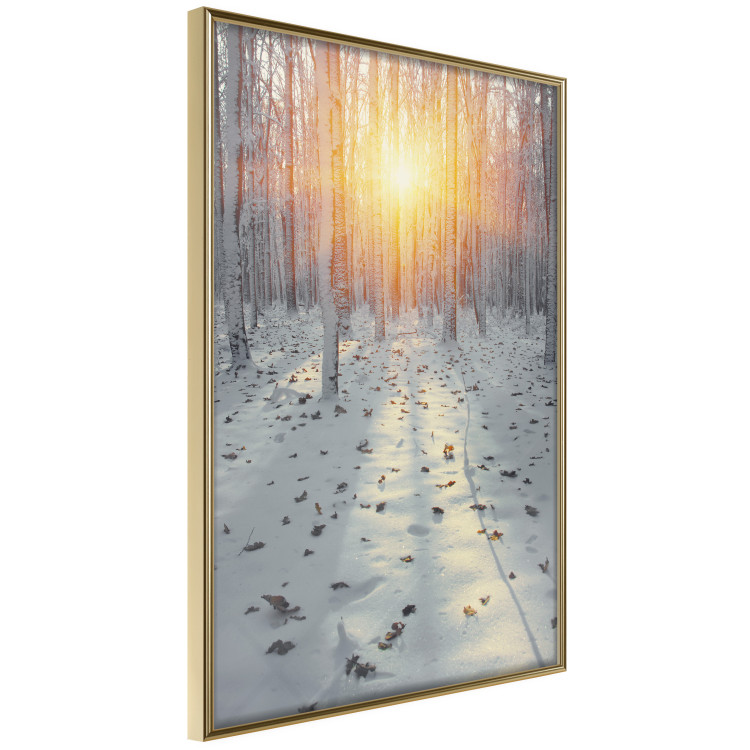 Wall Poster Winter Afternoon - forest in winter atmosphere against setting sun 124457 additionalImage 12