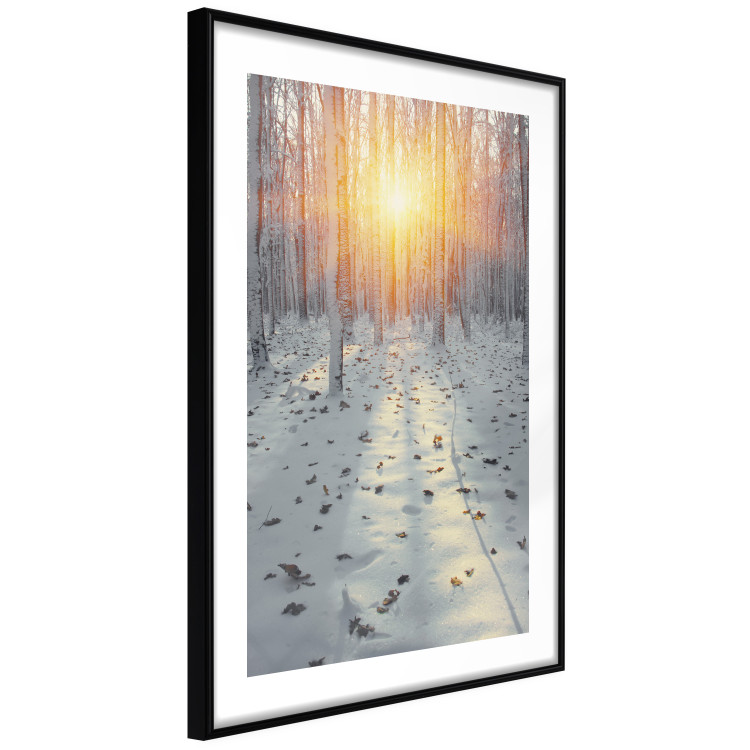 Wall Poster Winter Afternoon - forest in winter atmosphere against setting sun 124457 additionalImage 11