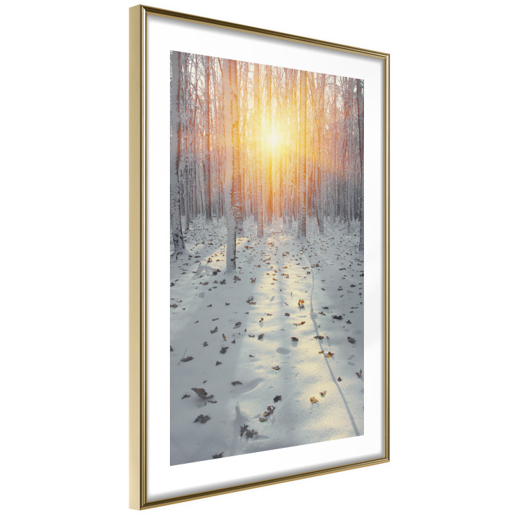 Wall Poster Winter Afternoon - forest in winter atmosphere against setting sun 124457 additionalImage 6