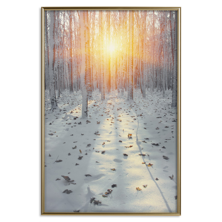 Wall Poster Winter Afternoon - forest in winter atmosphere against setting sun 124457 additionalImage 19