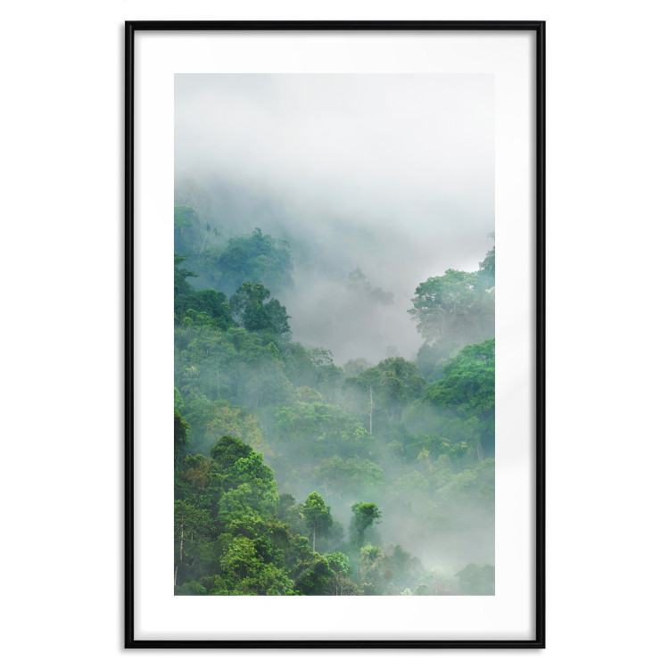 Wall Poster Exotic Adventure - landscape of a forest surrounded by mist on a mountain range 125757 additionalImage 15
