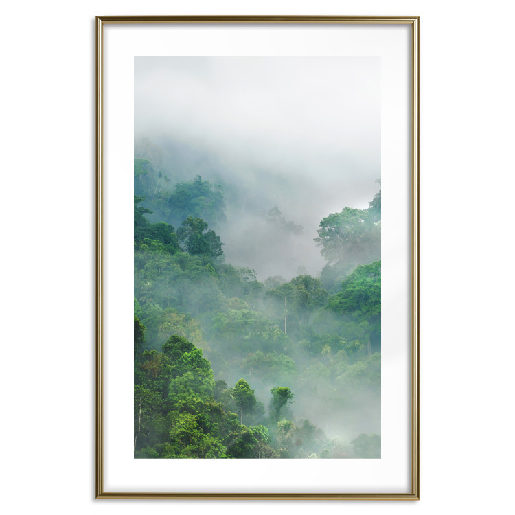 Wall Poster Exotic Adventure - landscape of a forest surrounded by mist on a mountain range 125757 additionalImage 16