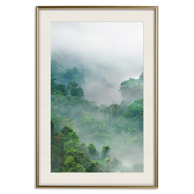 Wall Poster Exotic Adventure - landscape of a forest surrounded by mist on a mountain range 125757 additionalImage 19