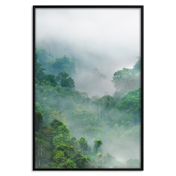 Wall Poster Exotic Adventure - landscape of a forest surrounded by mist on a mountain range 125757 additionalImage 24