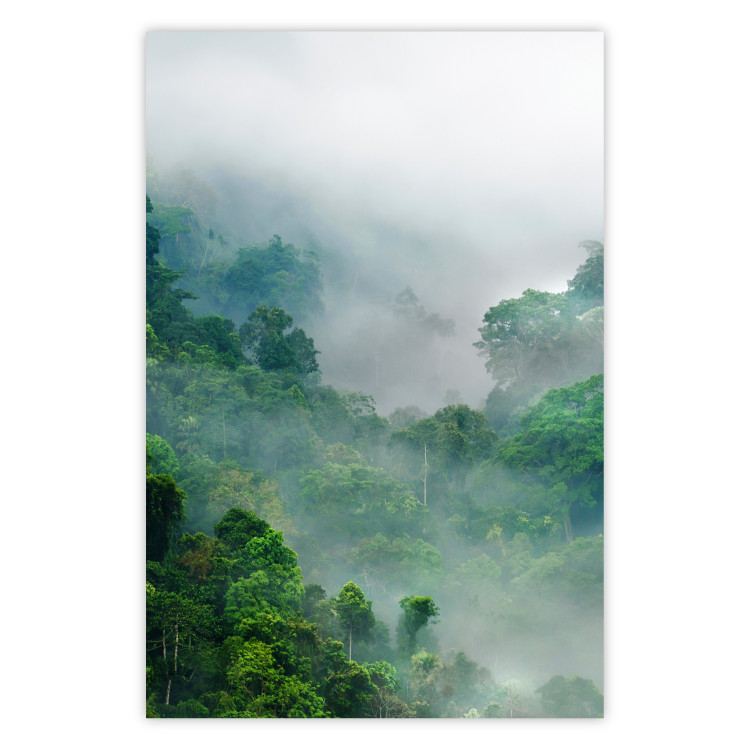 Wall Poster Exotic Adventure - landscape of a forest surrounded by mist on a mountain range 125757