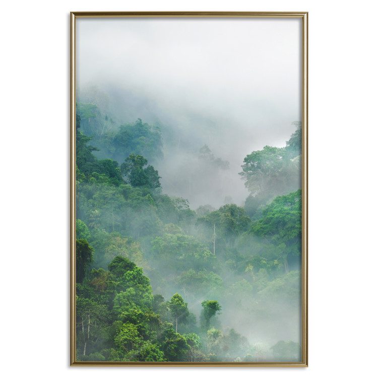 Wall Poster Exotic Adventure - landscape of a forest surrounded by mist on a mountain range 125757 additionalImage 20
