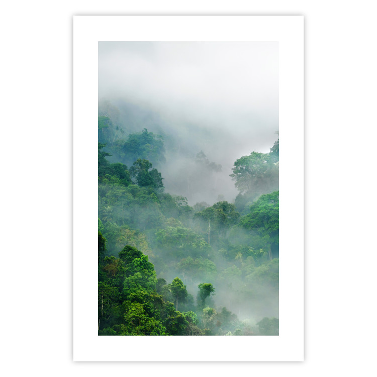 Wall Poster Exotic Adventure - landscape of a forest surrounded by mist on a mountain range 125757 additionalImage 25