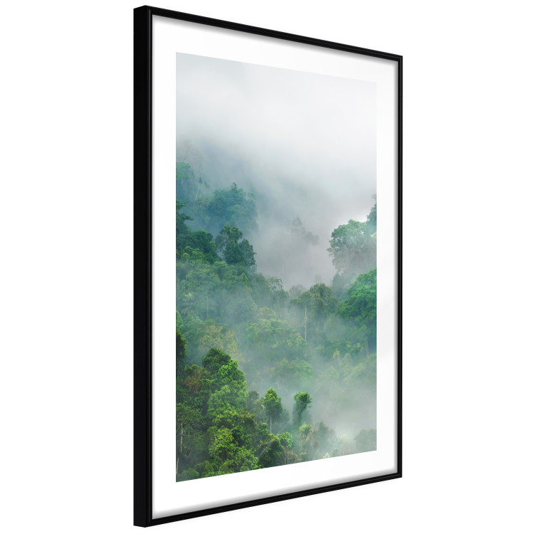 Wall Poster Exotic Adventure - landscape of a forest surrounded by mist on a mountain range 125757 additionalImage 11