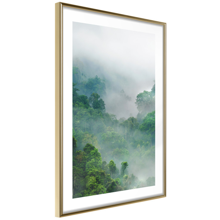 Wall Poster Exotic Adventure - landscape of a forest surrounded by mist on a mountain range 125757 additionalImage 8