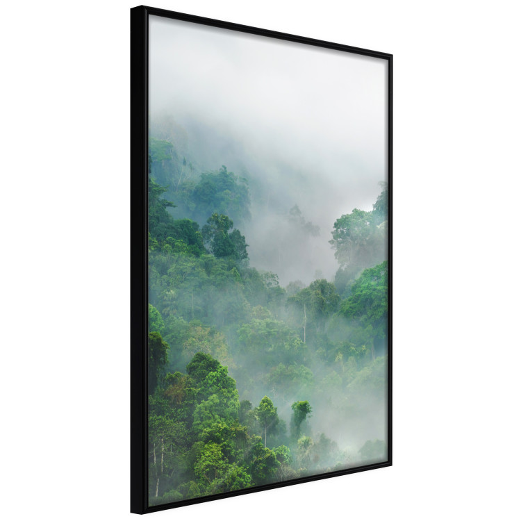 Wall Poster Exotic Adventure - landscape of a forest surrounded by mist on a mountain range 125757 additionalImage 10