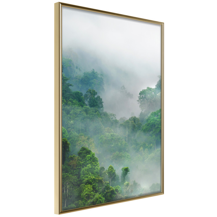 Wall Poster Exotic Adventure - landscape of a forest surrounded by mist on a mountain range 125757 additionalImage 14