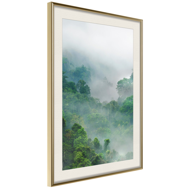Wall Poster Exotic Adventure - landscape of a forest surrounded by mist on a mountain range 125757 additionalImage 2