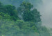 Wall Poster Exotic Adventure - landscape of a forest surrounded by mist on a mountain range 125757 additionalThumb 11